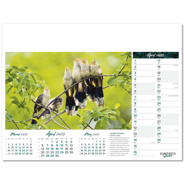 Kindred Spirits Wall Calendar