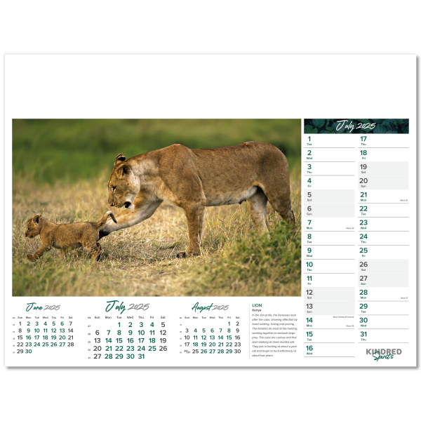 Kindred Spirits Wall Calendar