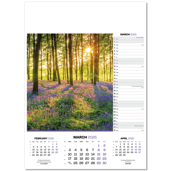 Dawn & Dusk Wall Calendar