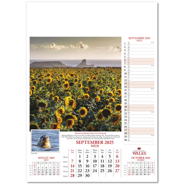 Discovering Wales Wall Calendar