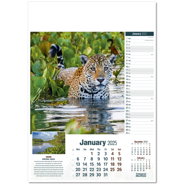 Endangered Species Wall Calendar