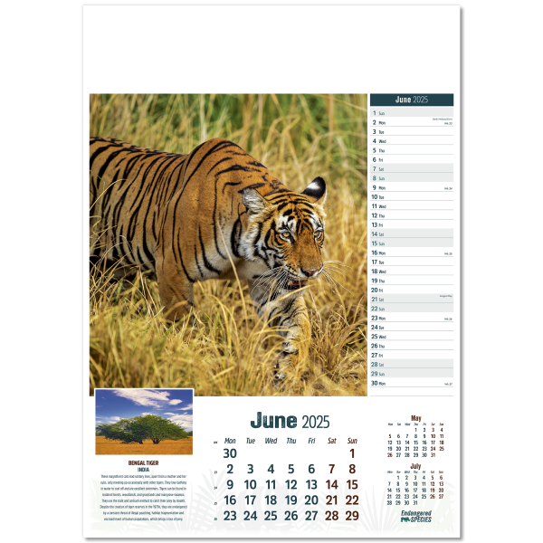 Endangered Species Wall Calendar