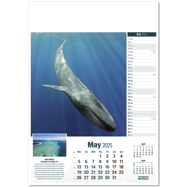 Endangered Species Wall Calendar