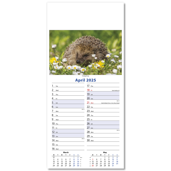 Wildlife Slim Wall Calendar