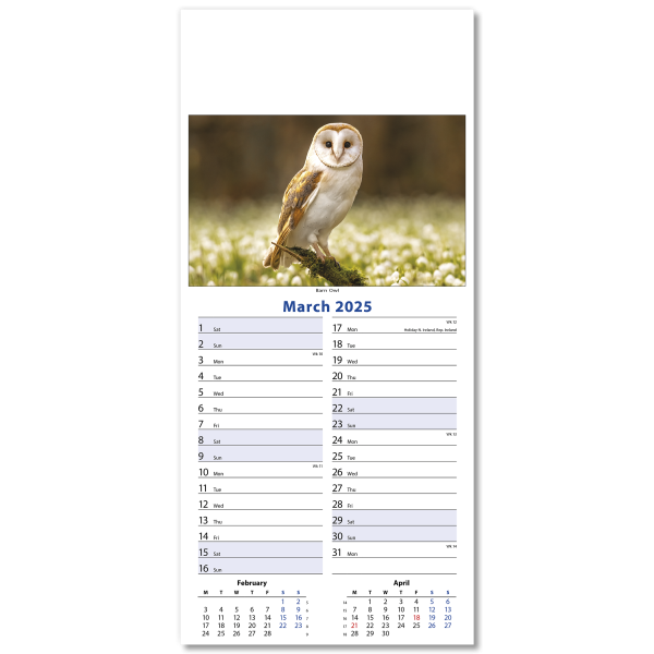 Wildlife Slim Wall Calendar