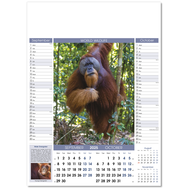 World Wildlife Wall Calendar