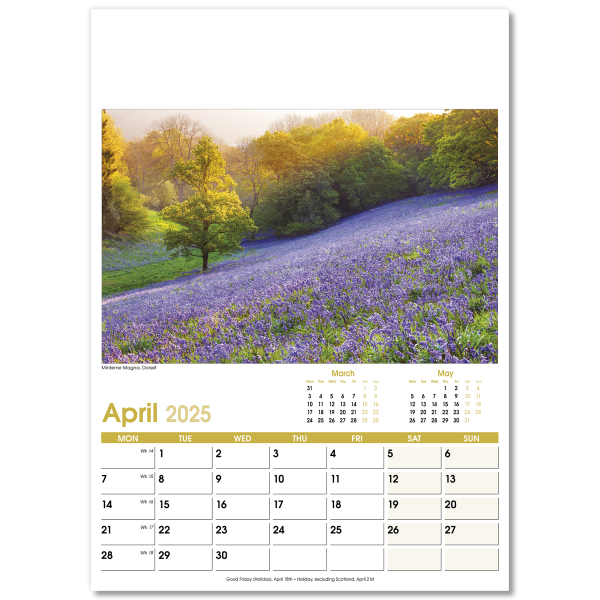 Aspects Wall Calendar - 13 Leaf