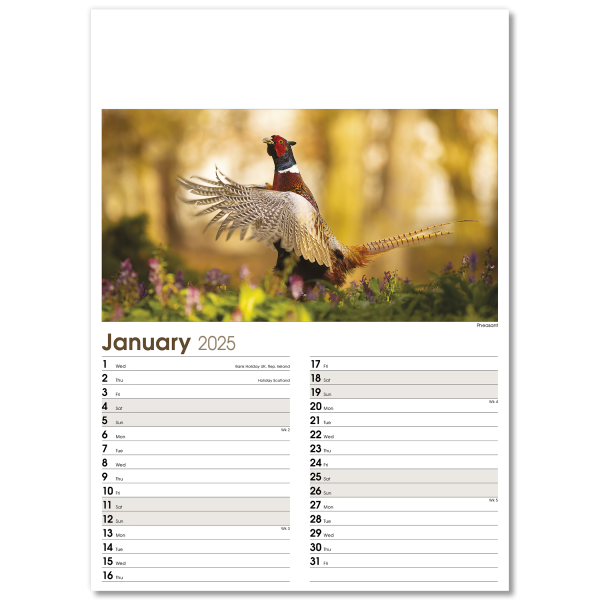 Rural Life Wall Calendar - 13 Leaf